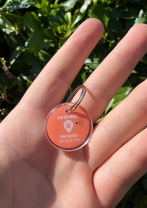 Pawfind Pet Tag by Loop